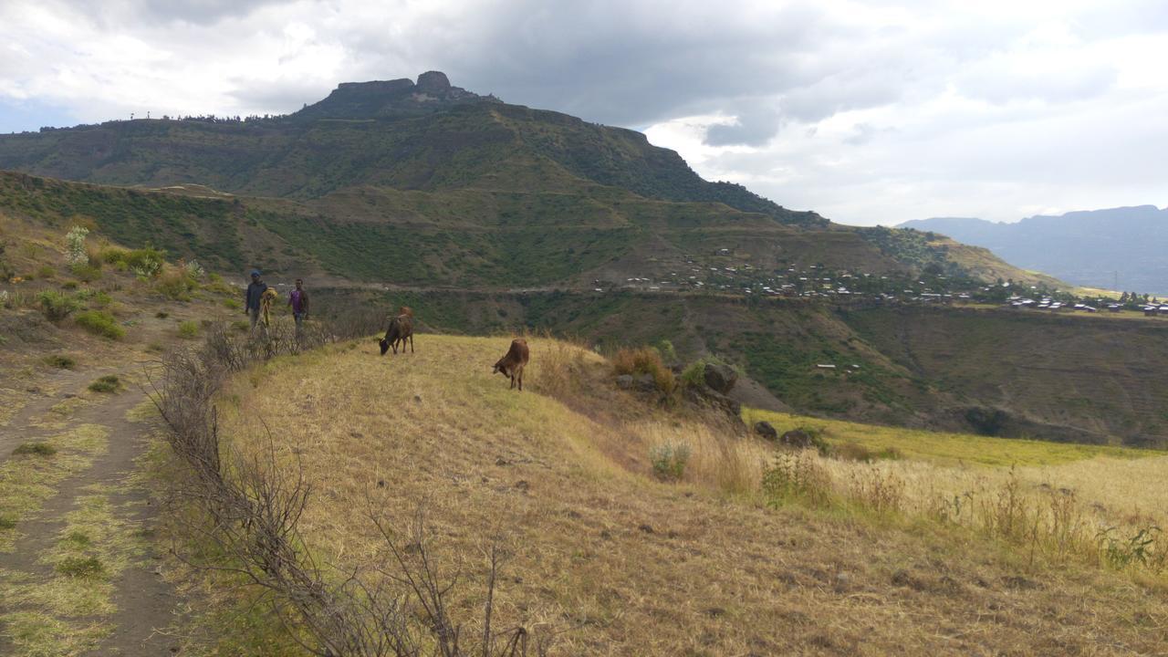 Zan-Seyoum Hotel Lalibela Luaran gambar
