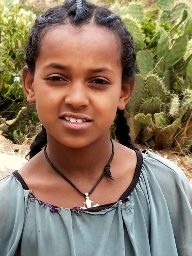Zan-Seyoum Hotel Lalibela Luaran gambar